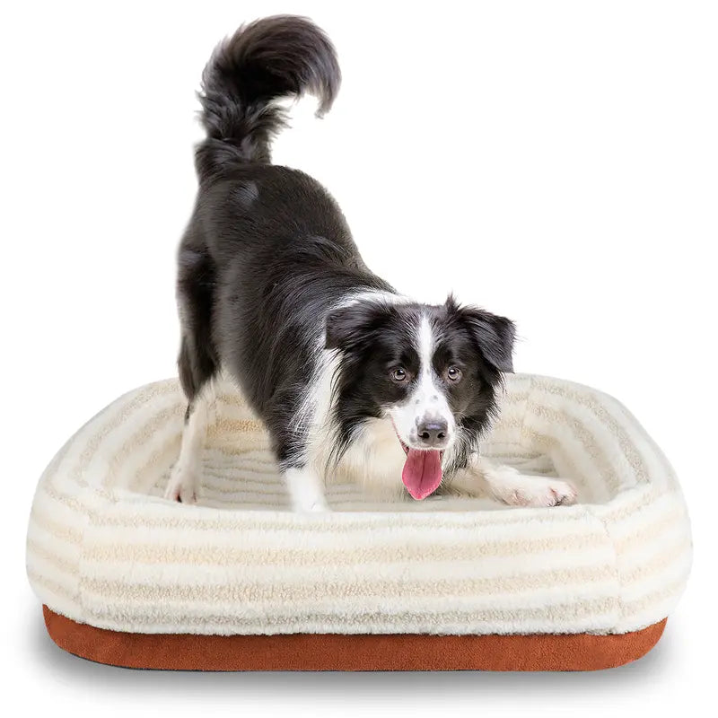 Dog Bed Orthopedic Memory Foam Pet Bed with Removable Washable Cover for Small Medium Large Dogs Cats