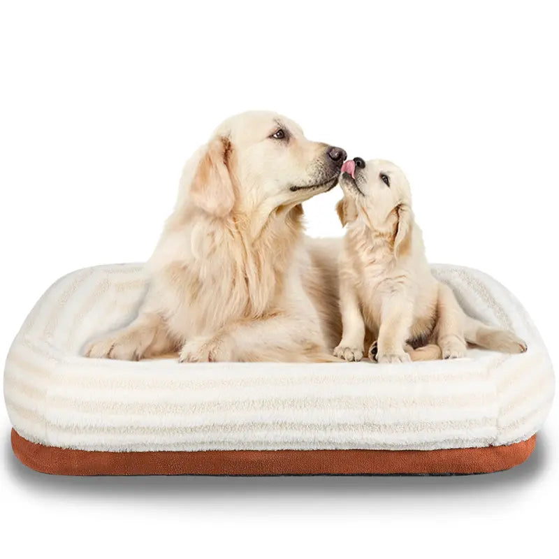 Dog Bed Orthopedic Memory Foam Pet Bed with Removable Washable Cover for Small Medium Large Dogs Cats